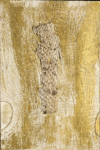 Aspen II